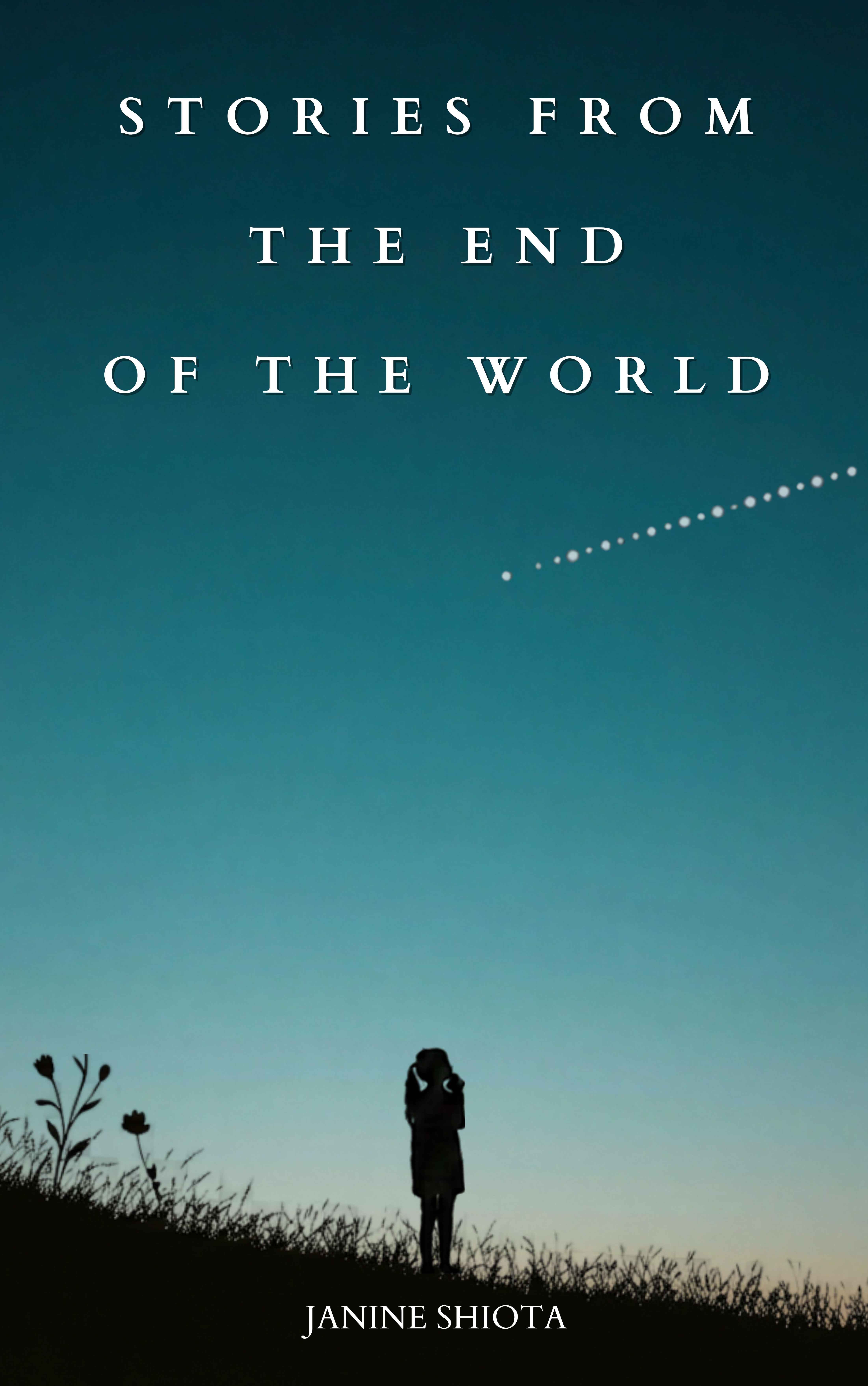 Stories From the End of the World cover